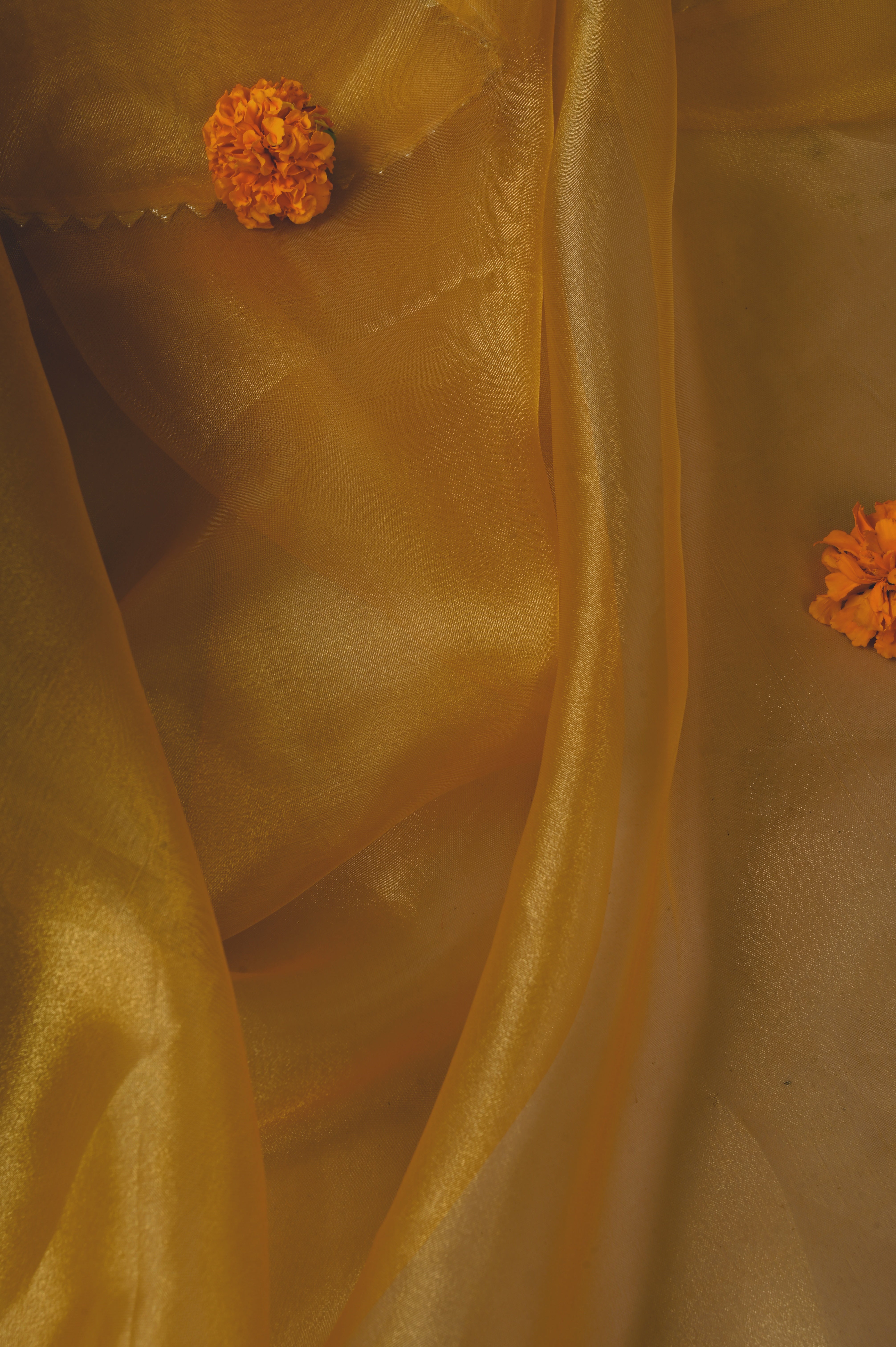 Biscotti Mustard Heritage Glow Unstitched Suit Set in Organza Tissue Silk